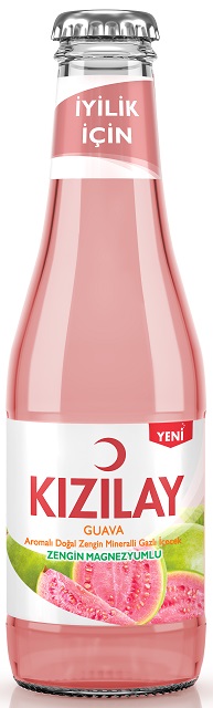 Kızılay Eau Minerale Goyave 200 ML — Kızılay — Eau minérale aromatisée — photo produit